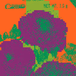 SEEDS #1715