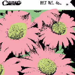 SEEDS #1042