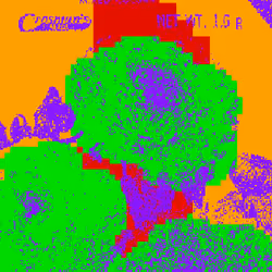 SEEDS #1262