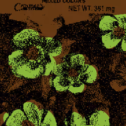 SEEDS #176