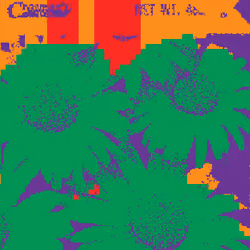 SEEDS #475