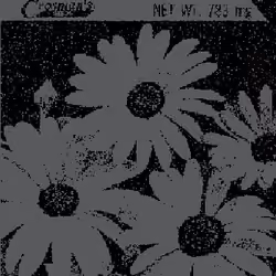 SEEDS #745