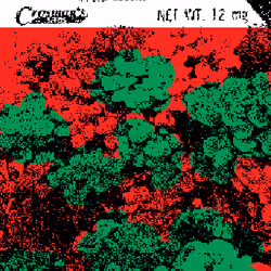 SEEDS #387