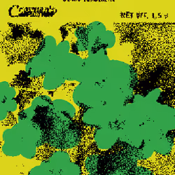 SEEDS #1161