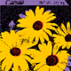 SEEDS #1063