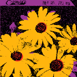 SEEDS #344