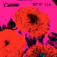 SEEDS #1143