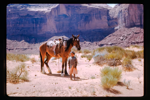 Item #53 Media