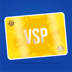 VaynerSports Pass #14495