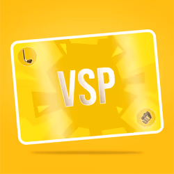 VaynerSports Pass #8800