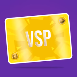 VaynerSports Pass #11733