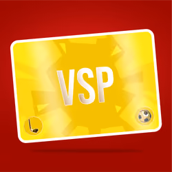 VaynerSports Pass #9327