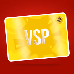 VaynerSports Pass #6568