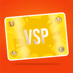 VaynerSports Pass #13032