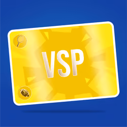 VaynerSports Pass #4381
