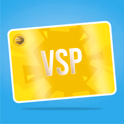 VaynerSports Pass #9300