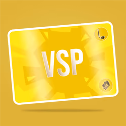 VaynerSports Pass #14403