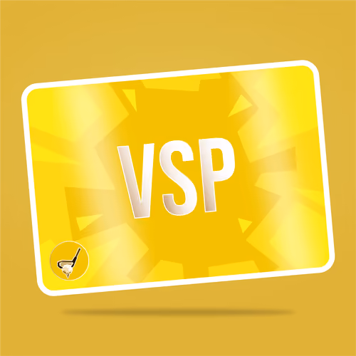VaynerSports Pass #6524