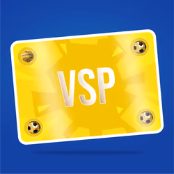 VaynerSports Pass #15245