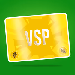 VaynerSports Pass #6824