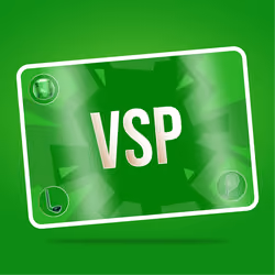 VaynerSports Pass #4966