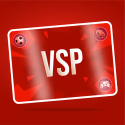 VaynerSports Pass #290