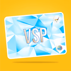 VaynerSports Pass #12891