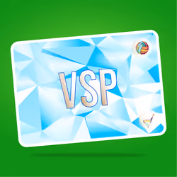 VaynerSports Pass #5982