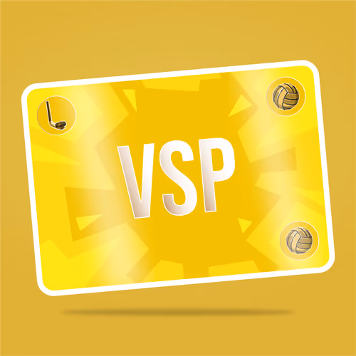 VaynerSports Pass #15500