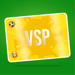 VaynerSports Pass #13341