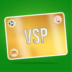 VaynerSports Pass #10561