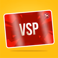VaynerSports Pass #2971