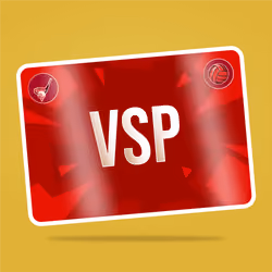 VaynerSports Pass #4978
