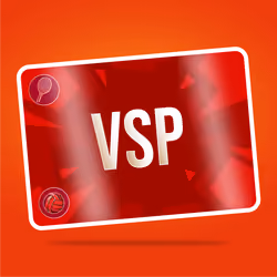 VaynerSports Pass #719