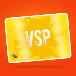 VaynerSports Pass #11951