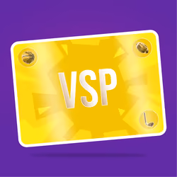 VaynerSports Pass #9487