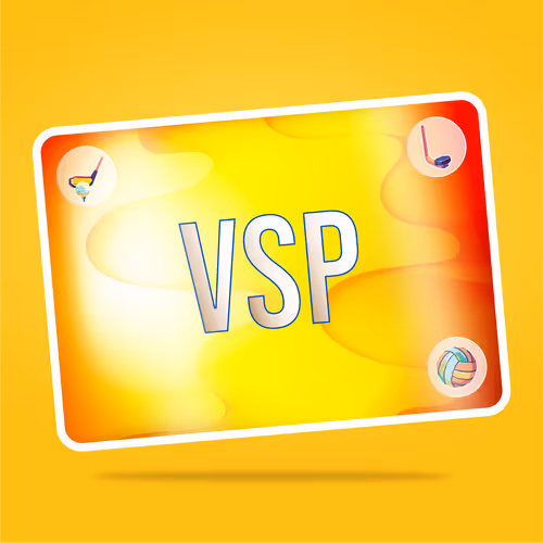 Vaynersports Pass Vsp