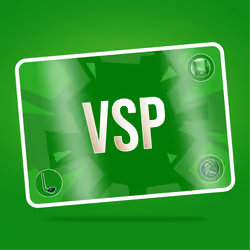 VaynerSports Pass #11071