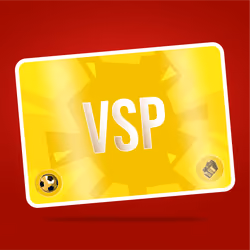 VaynerSports Pass #8878