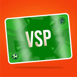 VaynerSports Pass #13808