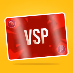 VaynerSports Pass #13449
