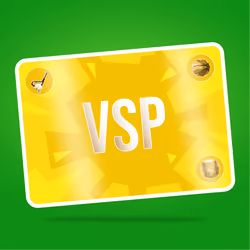 VaynerSports Pass #10445