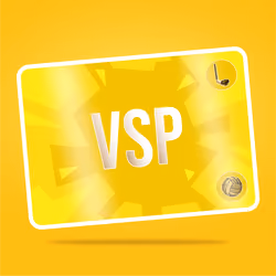 VaynerSports Pass #13895