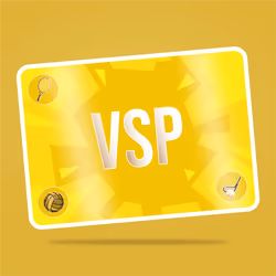 VaynerSports Pass #11131