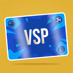 VaynerSports Pass #13951