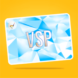 VaynerSports Pass #10847