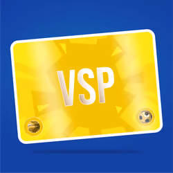 VaynerSports Pass #11276