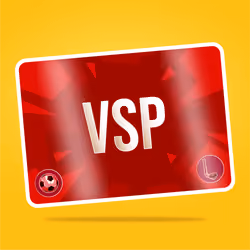 VaynerSports Pass #3479