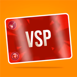 VaynerSports Pass #13683