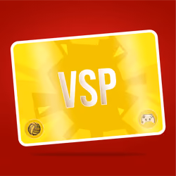 VaynerSports Pass #1251